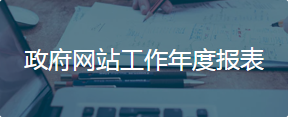 政府網站工作年度報表